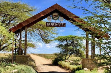 Serengeti migration Tanzania